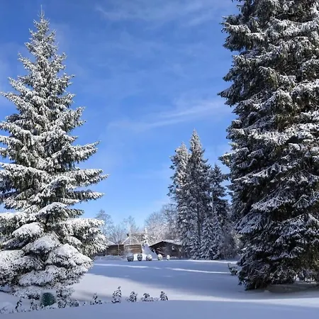 Sauerland Σπίτι διακοπών *