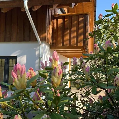 בית נופש Sauerland