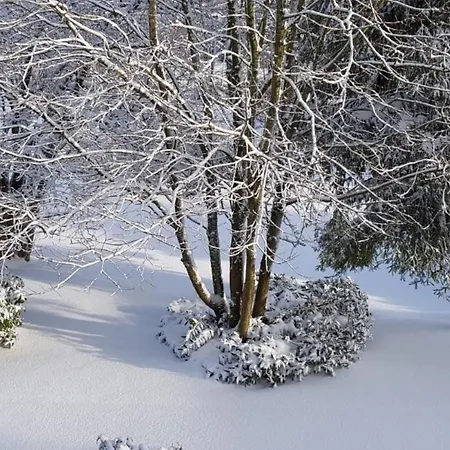 Σπίτι διακοπών Sauerland *