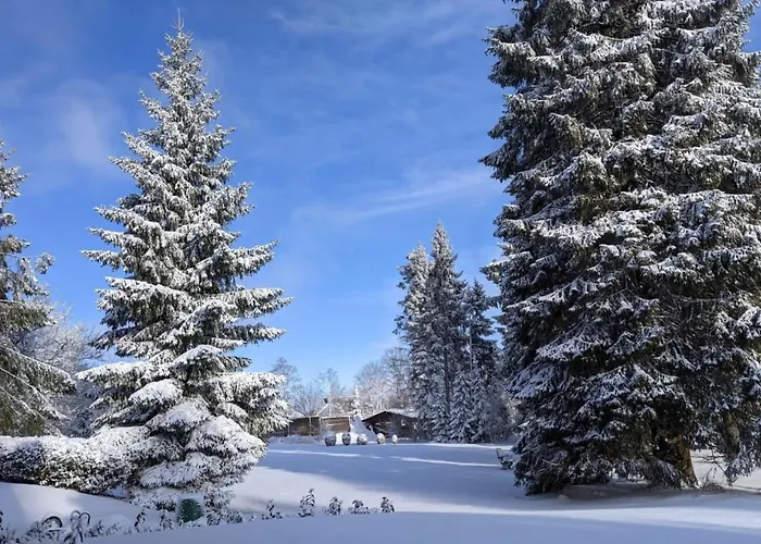 Sauerland Сasa de vacaciones *