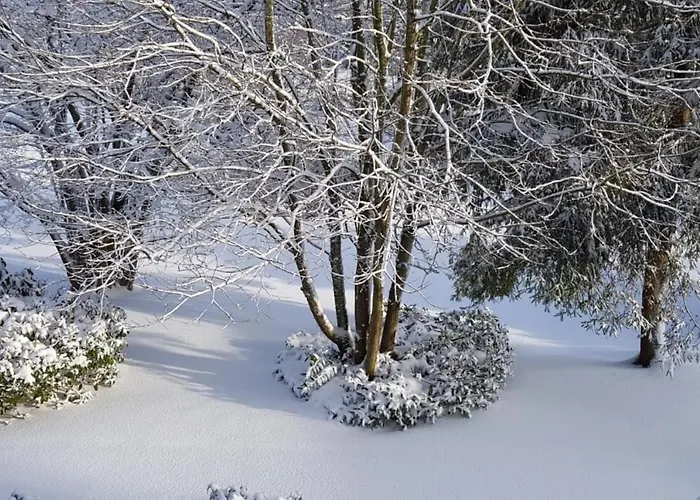 Σπίτι διακοπών Sauerland *